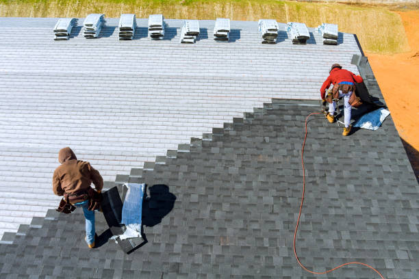 Best New Roof Installation  in Camden, TN
