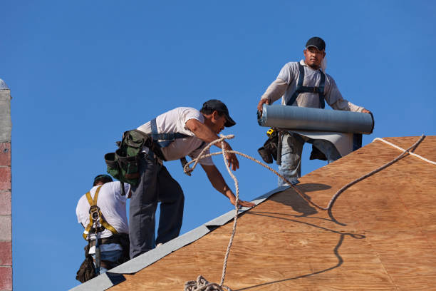 Best Emergency Roof Repair  in Camden, TN