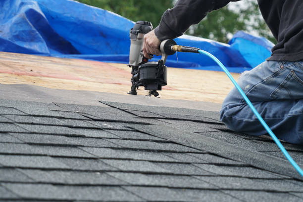 Best Storm Damage Roof Repair  in Camden, TN