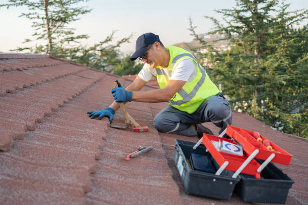 Best New Roof Installation  in Camden, TN